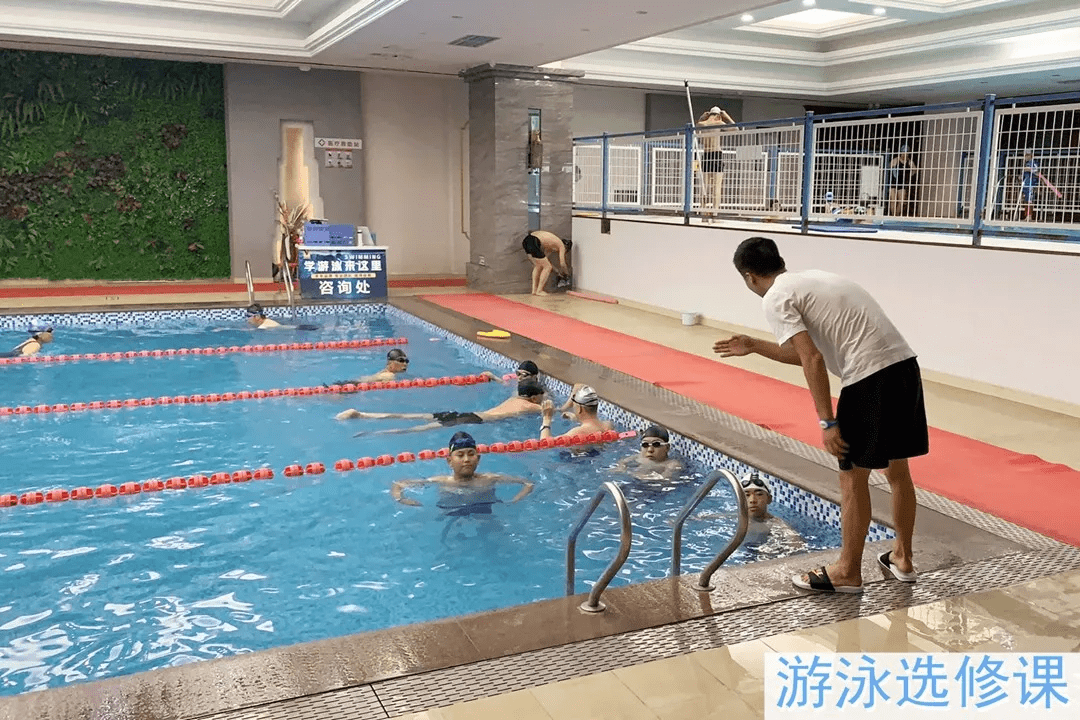 跳水最新动态，跃向成功的瞬间，体验学习与变化的魅力