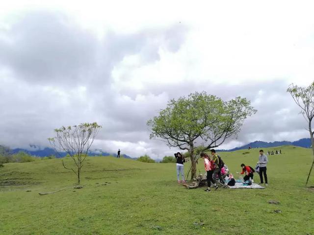 最新牧场游戏，探索自然美景，寻找内心平静之旅