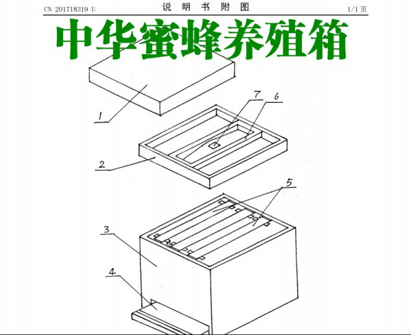 最新式蜂箱制作与使用指南，详细步骤解析