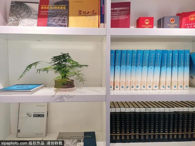 最新图书造型，打造温馨阅读体验
