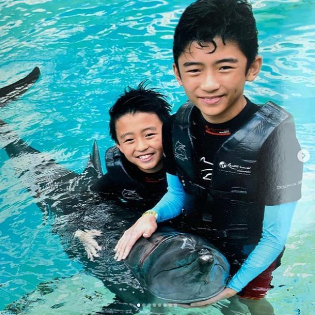 张柏芝最新恋情揭秘，自然美景中的浪漫旅行