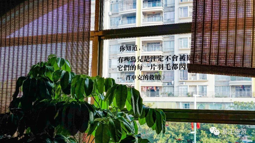 最新微型小车，城市中的微型温馨之旅