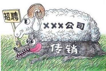 东莞最新骗术揭秘，探索自然美景，寻找内心的宁静之路
