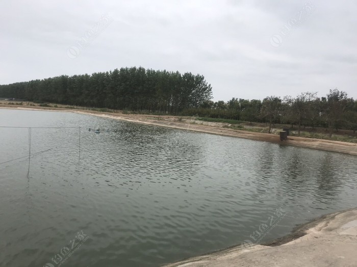 宜昌最新钓场，垂钓爱好者的天堂
