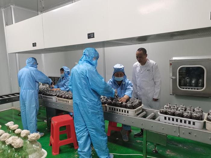 邵武最新图片，自然美景的探索之旅