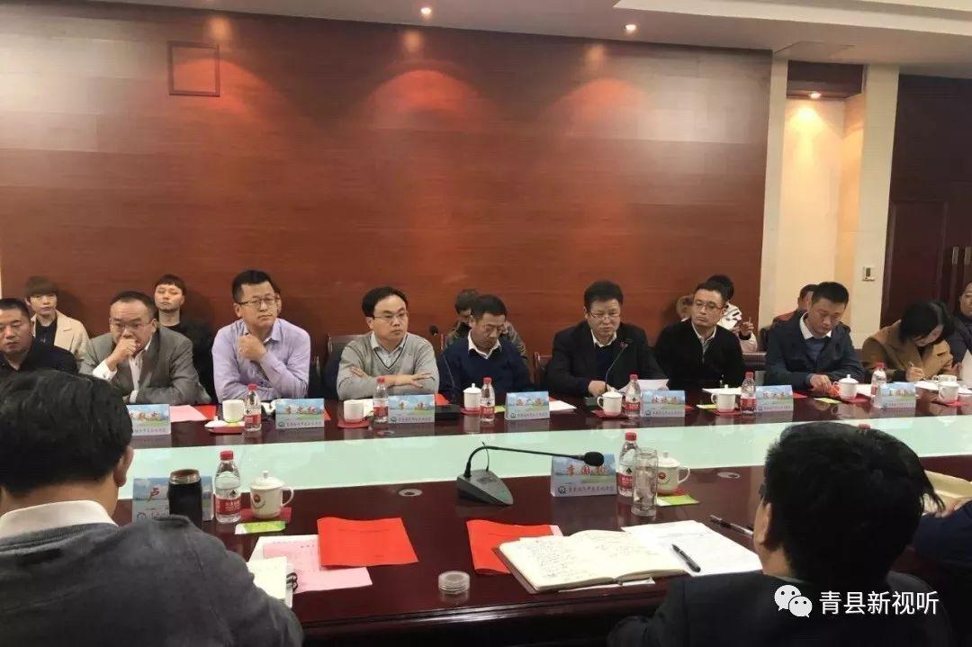 最新时政书籍，时代脉搏的见证与解读