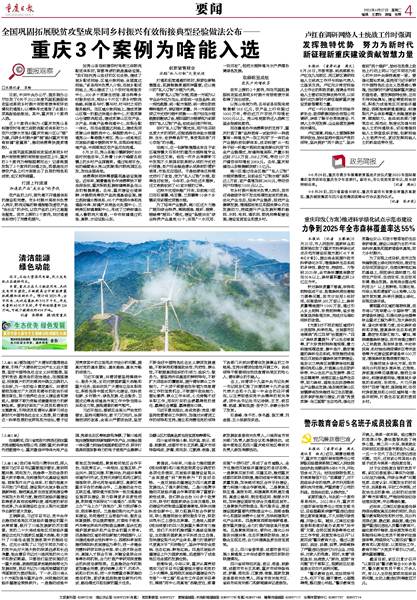 最新棉价变化中的机遇，织出成功篇章的启示