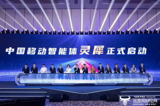 最新域名新闻，科技引领未来，全新域名产品震撼发布