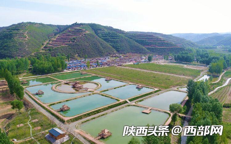 最新商业业态崛起，重塑时代之潮的背景、影响与地位解析