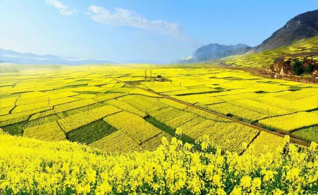 粳米最新价格与探索自然美景的旅行体验