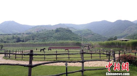 探索自然美景之旅，揭秘最新10024基地，寻找内心的平和之地