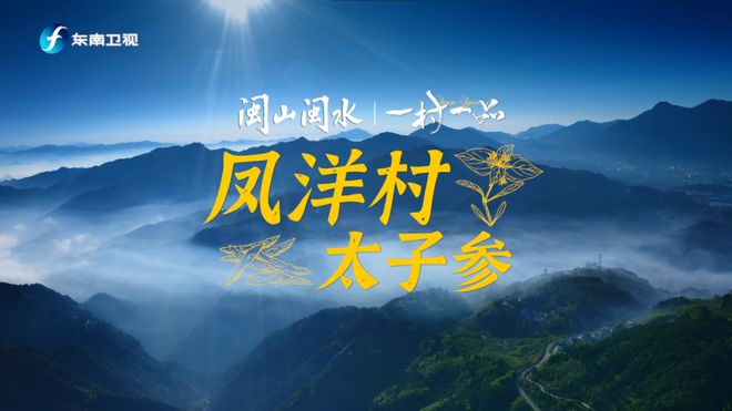 血饮评论最新，探索自然美景之旅，寻找内心平和的旅程