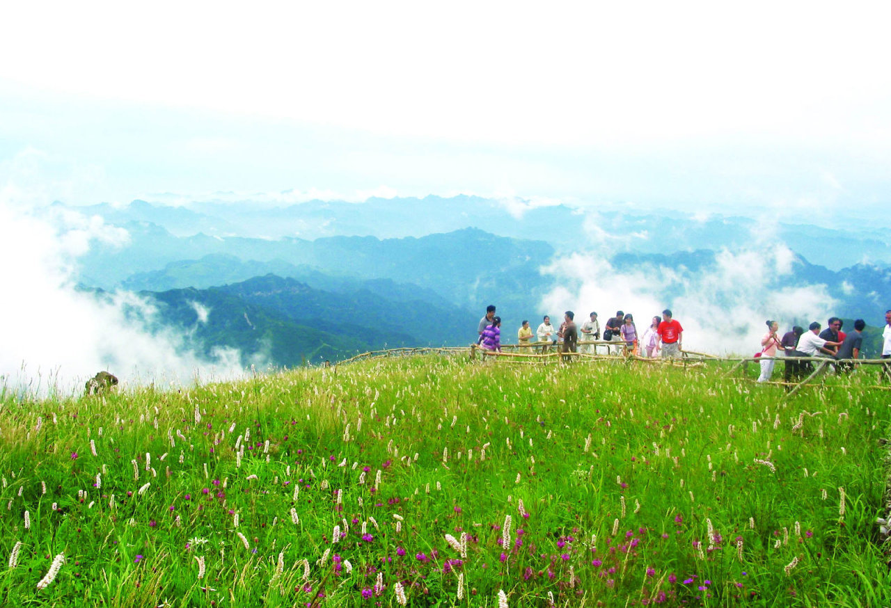 最新900010净值，自然美景中的心灵探索之旅
