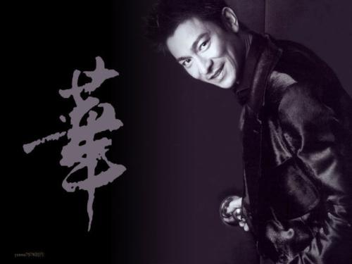 刘德华最新单曲获取与欣赏指南，从初学者到进阶用户的详细步骤解析