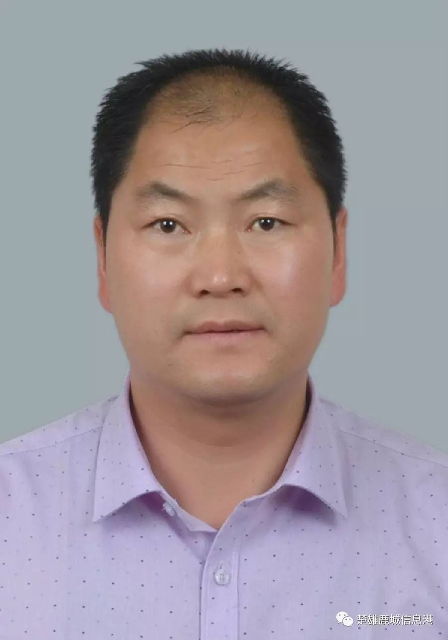 姚安干部任免最新动态揭晓
