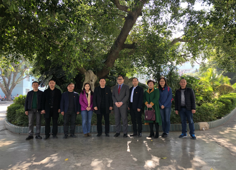 罗甸最新新闻，城市中的温馨日常与友情故事报道