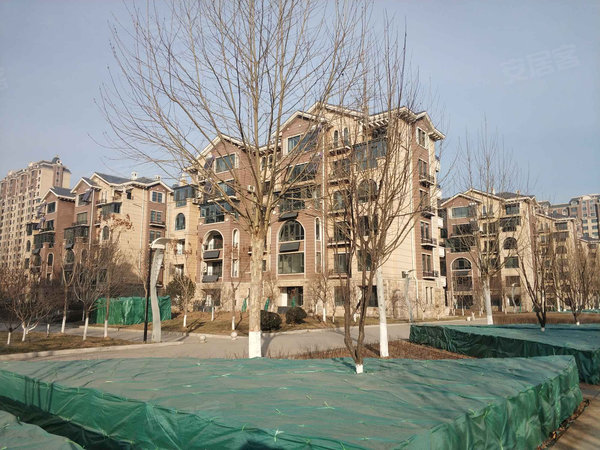 迁安香巴拉最新报价指南，获取最新信息，做出明智决策