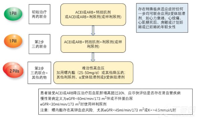 棋盘洲最新动态，策略与技巧的全方位指南