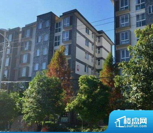 灵石最新租房信息及小巷特色小店，探索未知的居住魅力