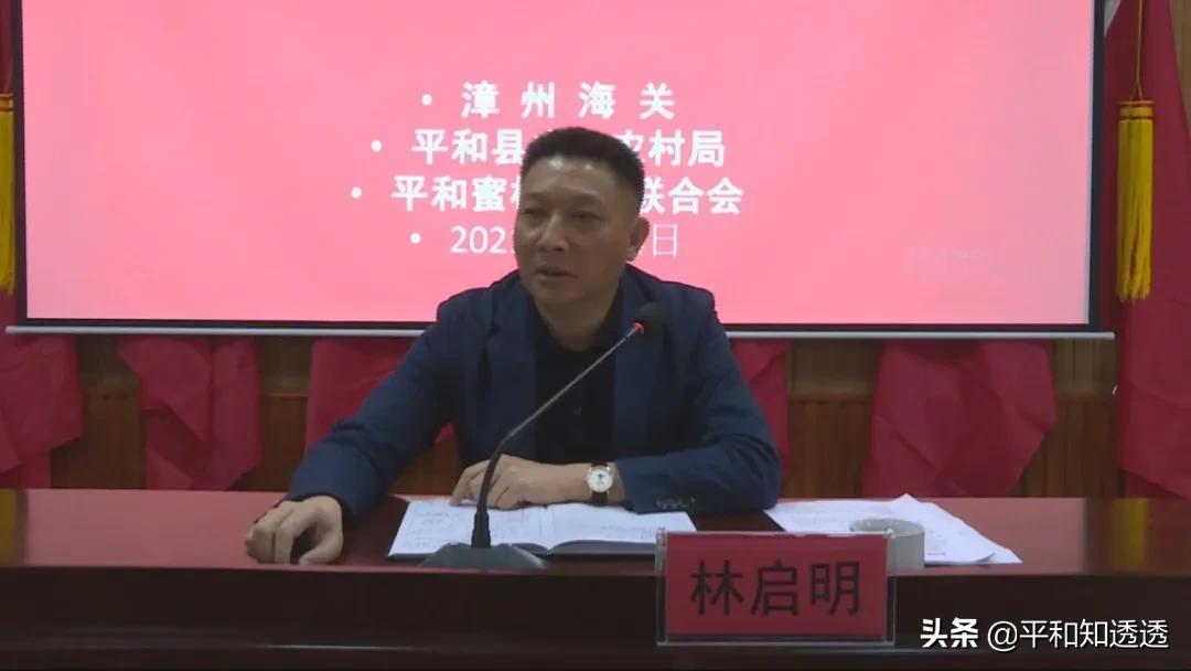 海关最新动态,海关最新动态，探索自然美景之旅，寻找内心的宁静与平和
