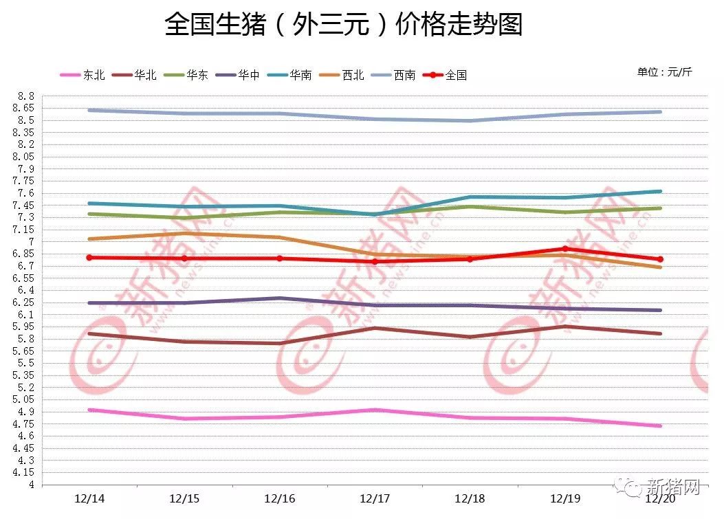 洞悉猪业趋势，把握市场机遇，深入了解最新猪走势