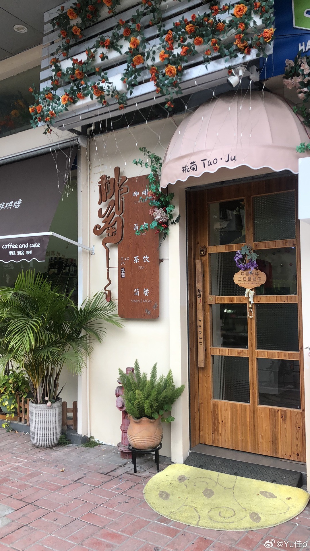 清迈小巷深处的独特小店探秘最新报道