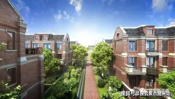 最新疫情城市观点阐述与分析，深度解析疫情动态