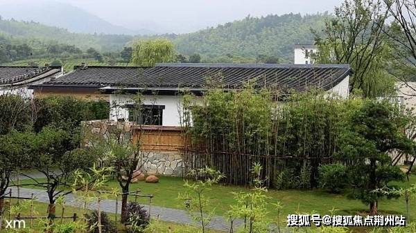 最新大锅观点分析，我的立场与看法
