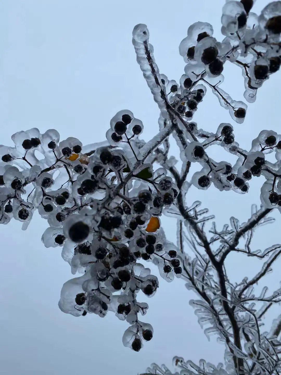 最新防治方案，探索自然美景的轻松之旅