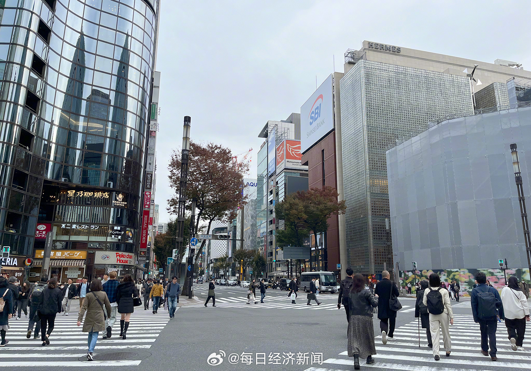 静冈最新疫情实时更新与关注📢🌸