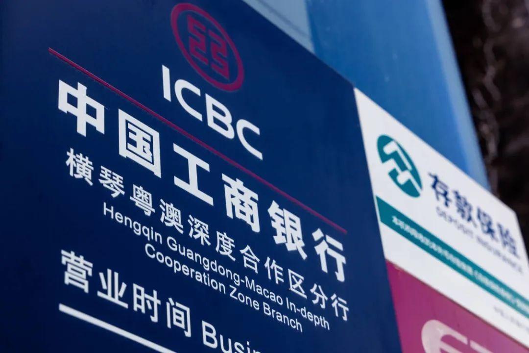 澳门最新真人技能探索之旅，掌握方法与详细步骤指南
