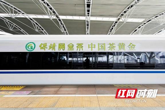 房产最新禁令，自然美景探索之旅的鼓舞与挑战