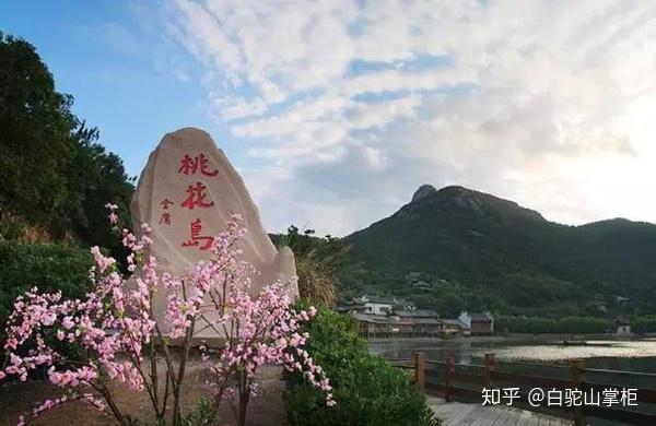 时代背景下的独特文学风景，最新S小说探秘