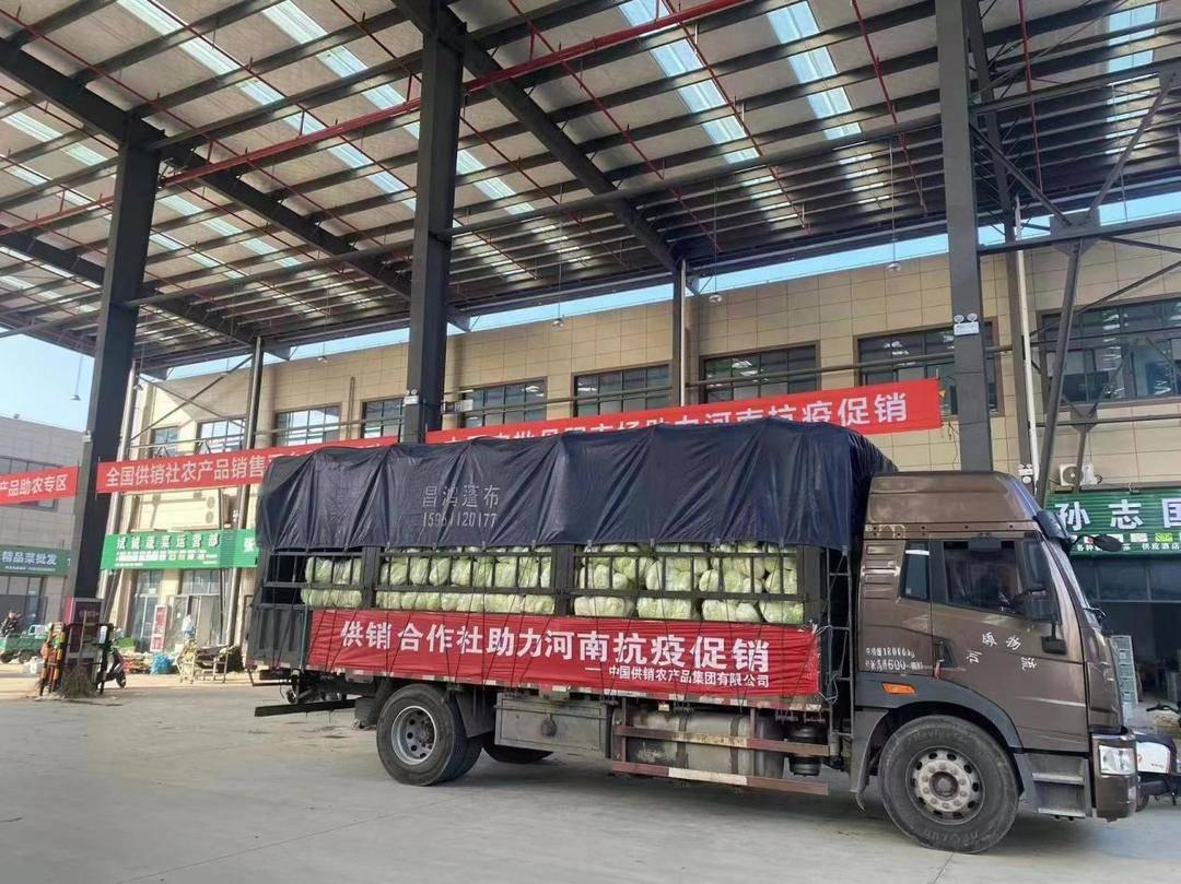 兰考小镇抗疫日常，温情、陪伴与力量的展现