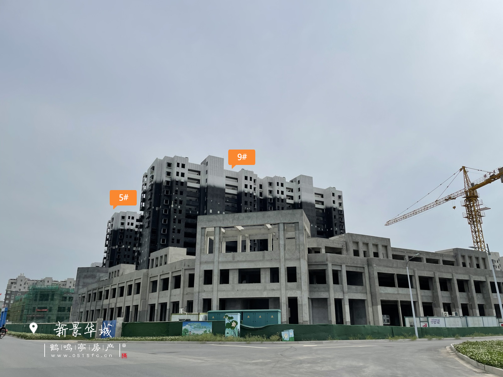 时尚潮流先锋，五姑娘最新风采展示