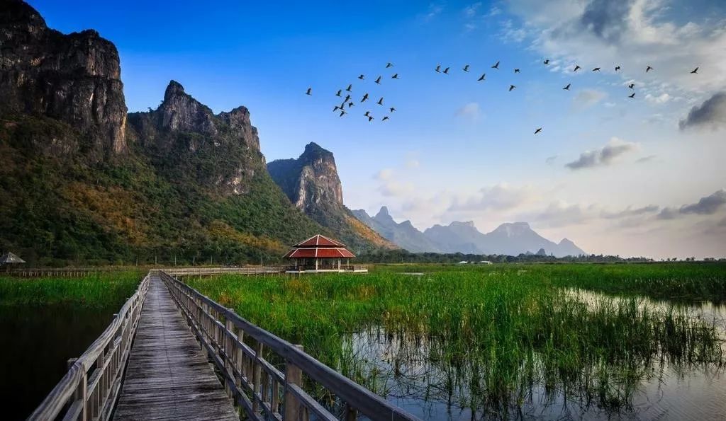拆箱最新，自然美景之旅，探寻内心平和与宁静的旅程