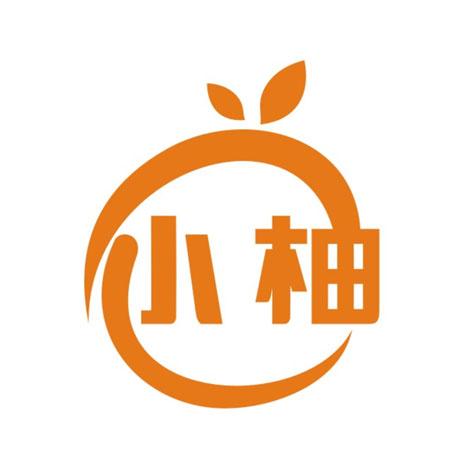 小柚最新观点论述，深度剖析与探讨