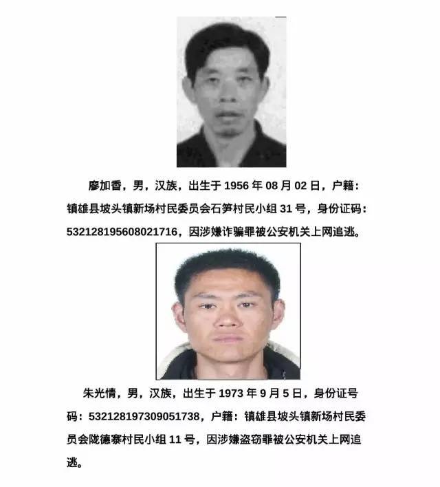 最新警方通缉，社会安全与个人自由的挑战与权衡