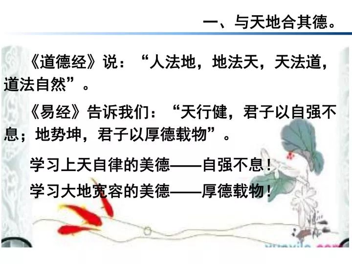 现代视角下的审视与反思，最新读经祷告体验