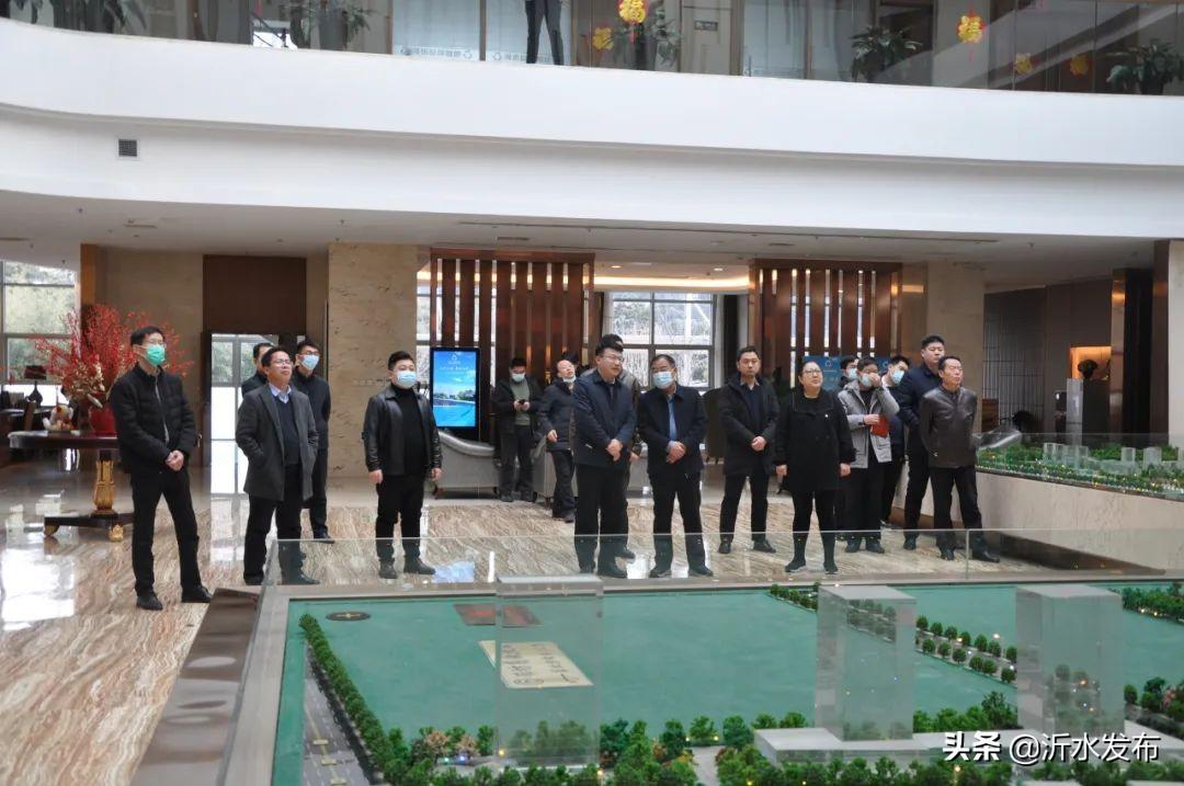 沂水最新动态与发展趋势探寻报道