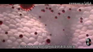 冠状病毒感染最新动态与小巷深处的独特风味探索