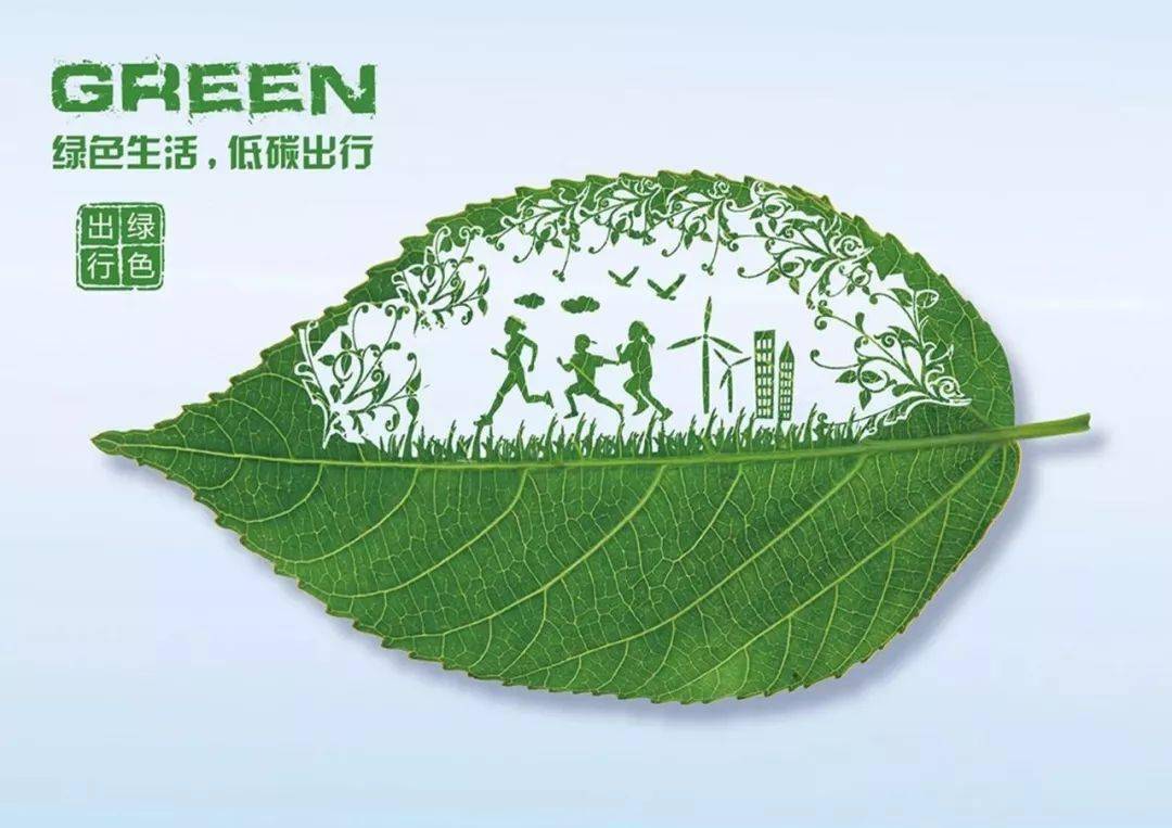 绿森最新引领绿色生活新潮流