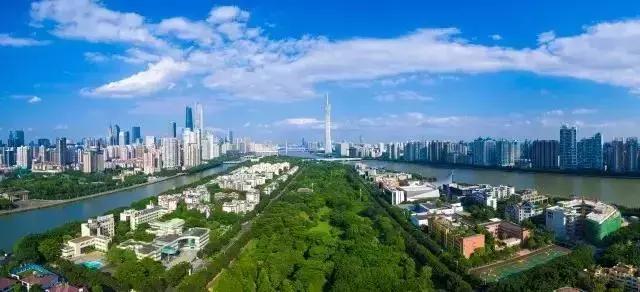 绿地最新视频深度解析，影响与观点探讨