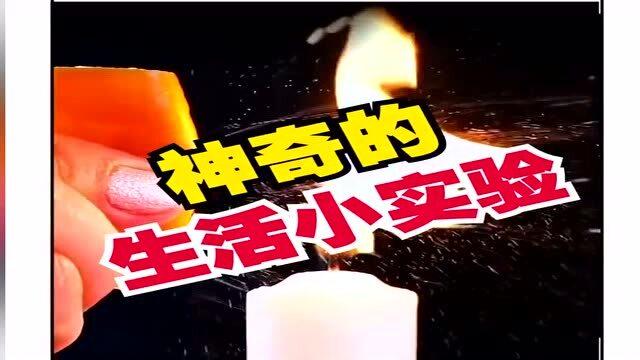 黑蛋最新，点亮学习之路，启航自信成就之旅