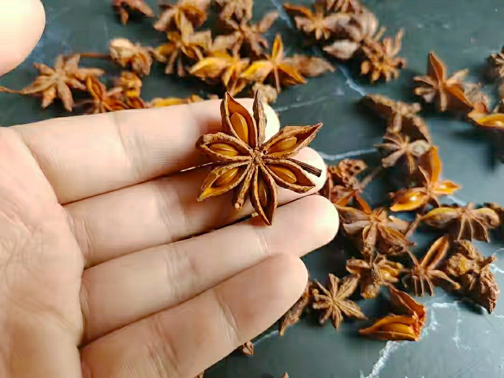 🌟今年八角行情深度剖析与解读🌟