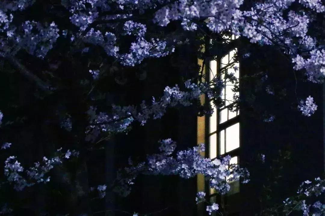 明星斋，点亮星光，成就无限梦想