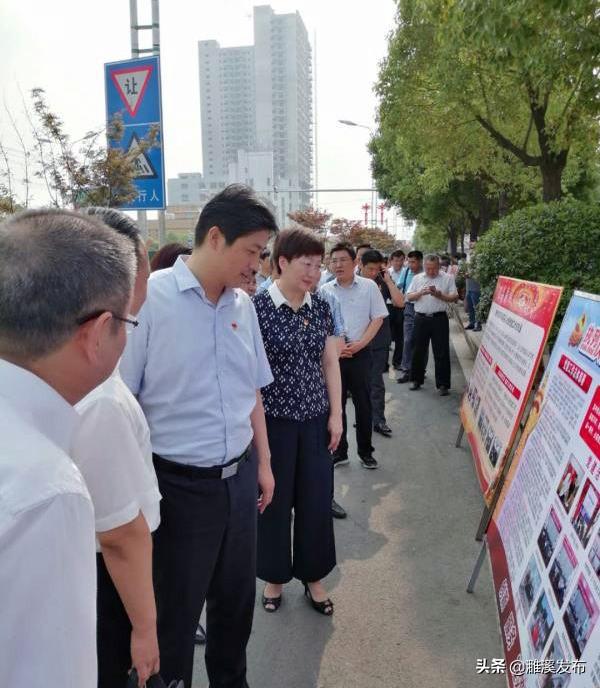 濉溪自然美景探索之旅，最新风光一览