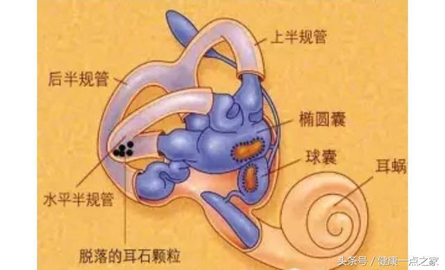 建筑物内外装饰的设计 第98页