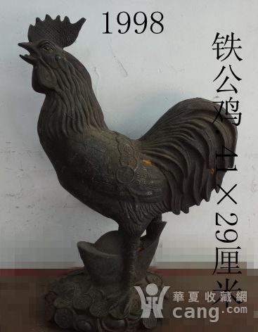 铁公鸡演员，高科技产品的璀璨新星闪耀舞台