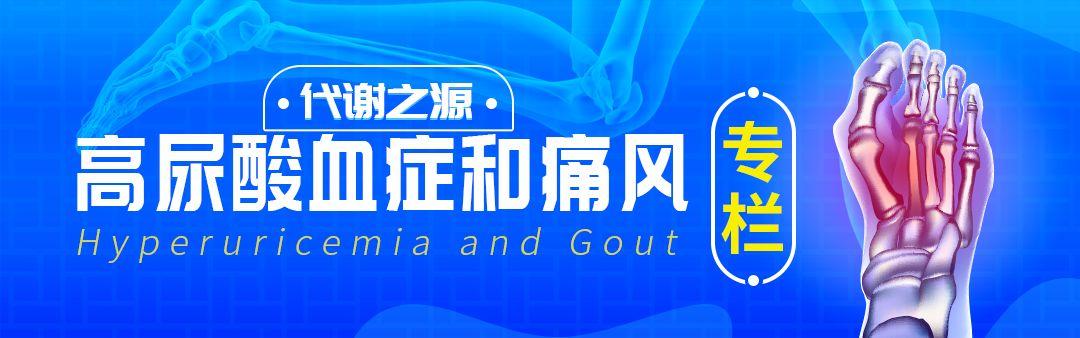 痛风研究进展，最新观点与研究成果概述